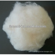 Natural White Color Best quality Goat Cashmere Fiber